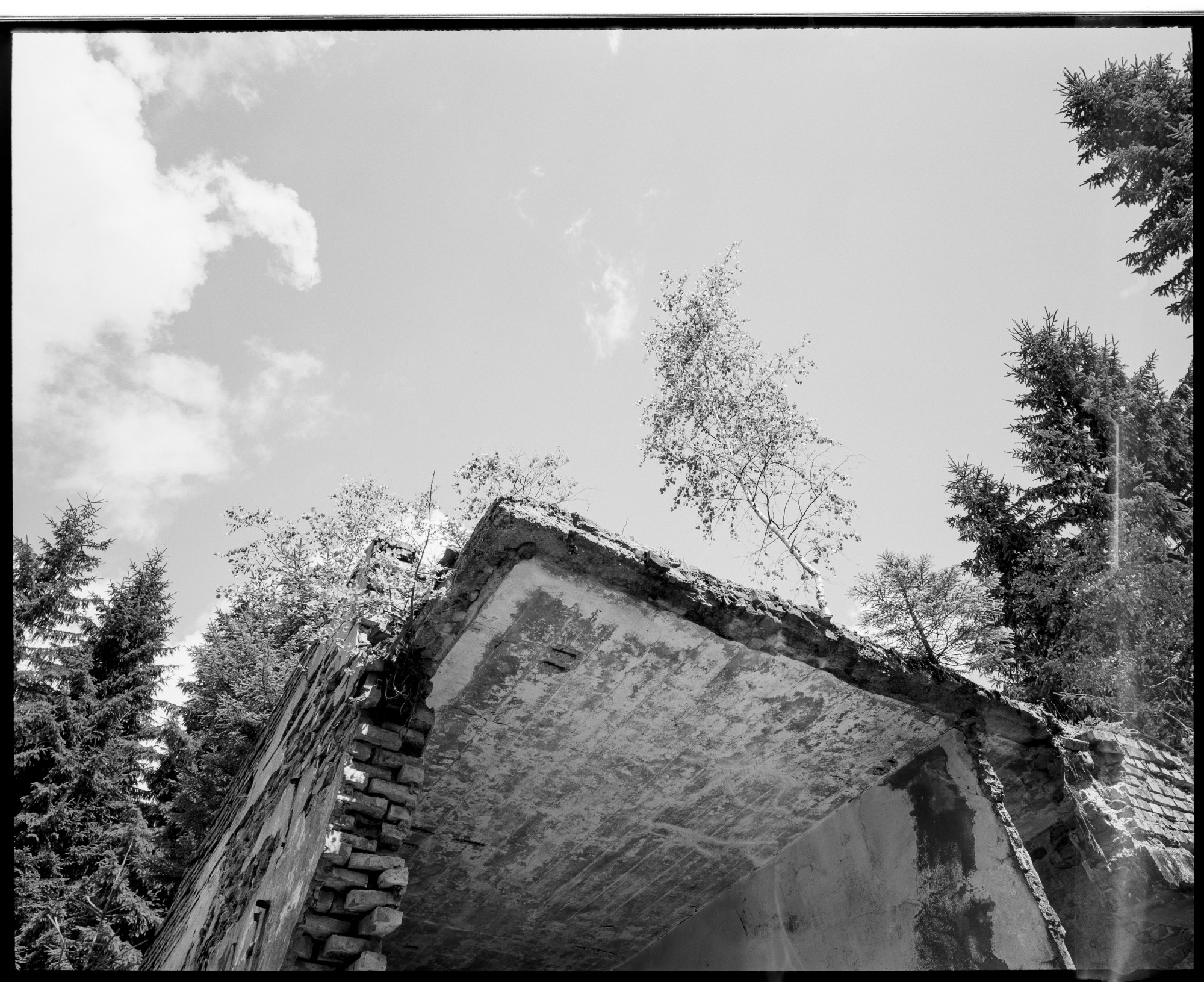  DSC8245