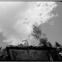 2010-027-67-bw-02 : FP4+, LC29, Rolava