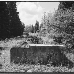 2010-027-67-bw-04 : FP4+, LC29, Rolava