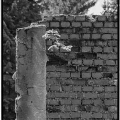 2010-028-67-bw-07 : LC29, Rolava, TMX400