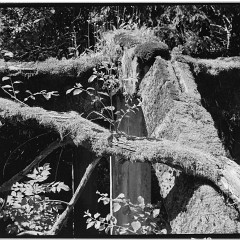 2010-028-67-bw-08 : LC29, Rolava, TMX400