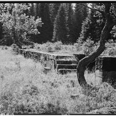2010-030-67-bw-08 : HP5+, Rolava