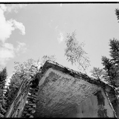 DSC8245