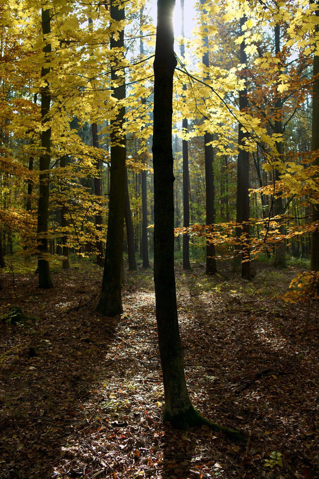 2011-10-29-6140 1