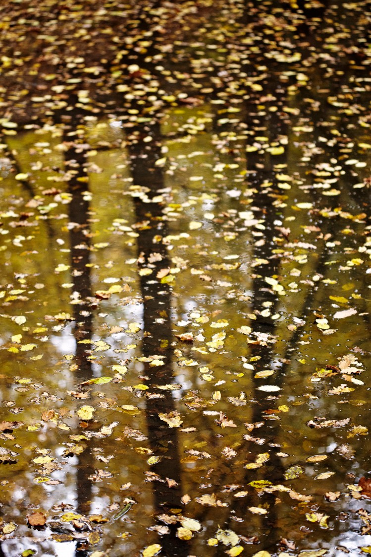 2011-10-29-6183