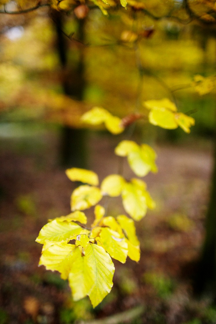 2011-10-29-6210