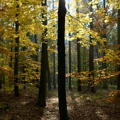 2011-10-29-6140 1