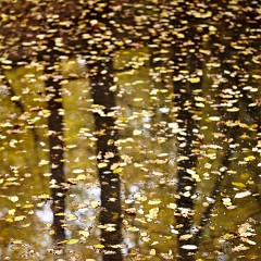 2011-10-29-6183