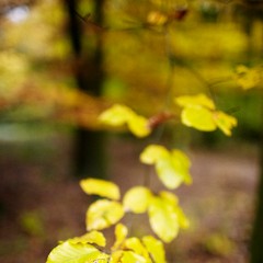 2011-10-29-6210