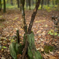 2011-10-29-6240