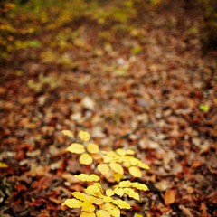2011-10-29-6262