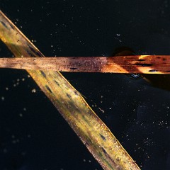 2021-10-30-07981